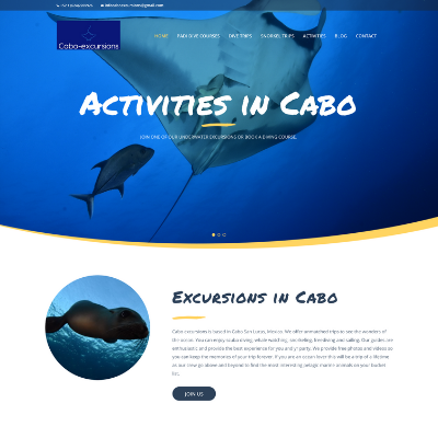 web-development-mexico web-development-mexico